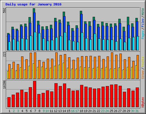 Daily usage for January 2016