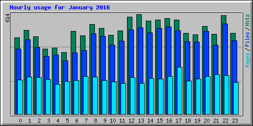 Hourly usage for January 2016