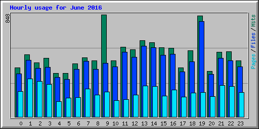 Hourly usage for June 2016