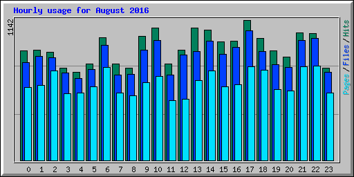Hourly usage for August 2016