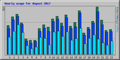 Hourly usage for August 2017