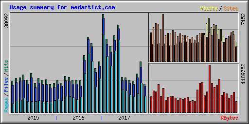Usage summary for medartist.com